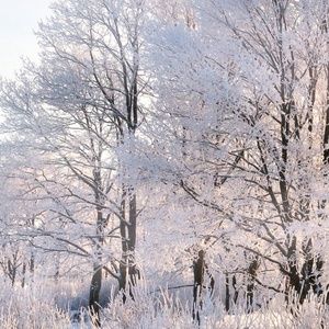 Meet your Posher, Gilbert